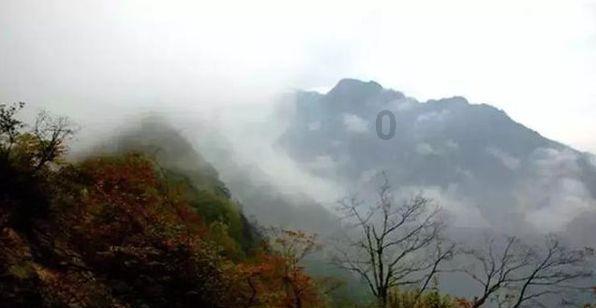 燃烧吧大脑装瓶子游戏