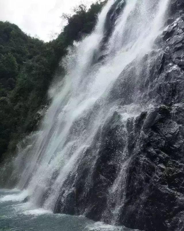 燃烧吧大脑装瓶子游戏